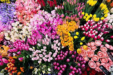 《星痕共鸣》实机PV首曝 欢迎来到雷格纳斯