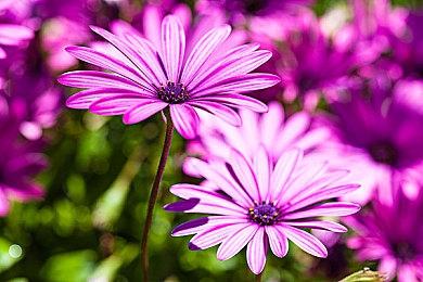 网易《命运》手游版正式公布 11月开启封闭测试